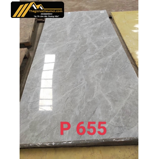 Tấm ốp P655