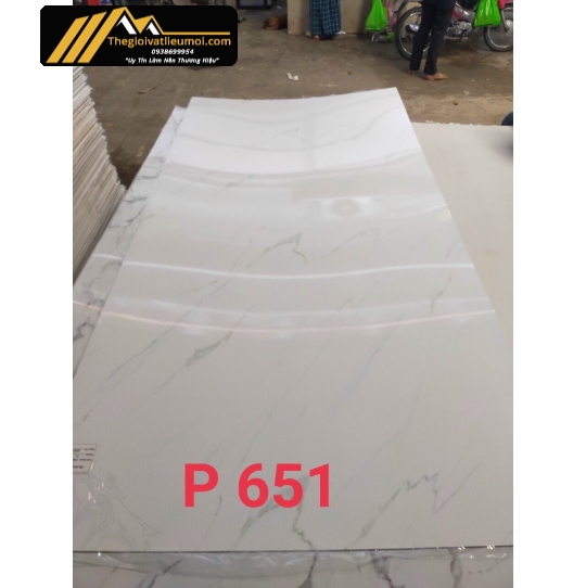 Tấm ốp P651