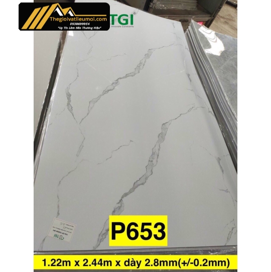 Tấm ốp PVC TGI - P653